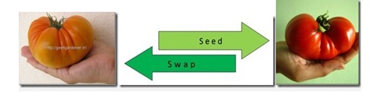 SeedSwapFull